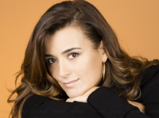 Cote de Pablo233