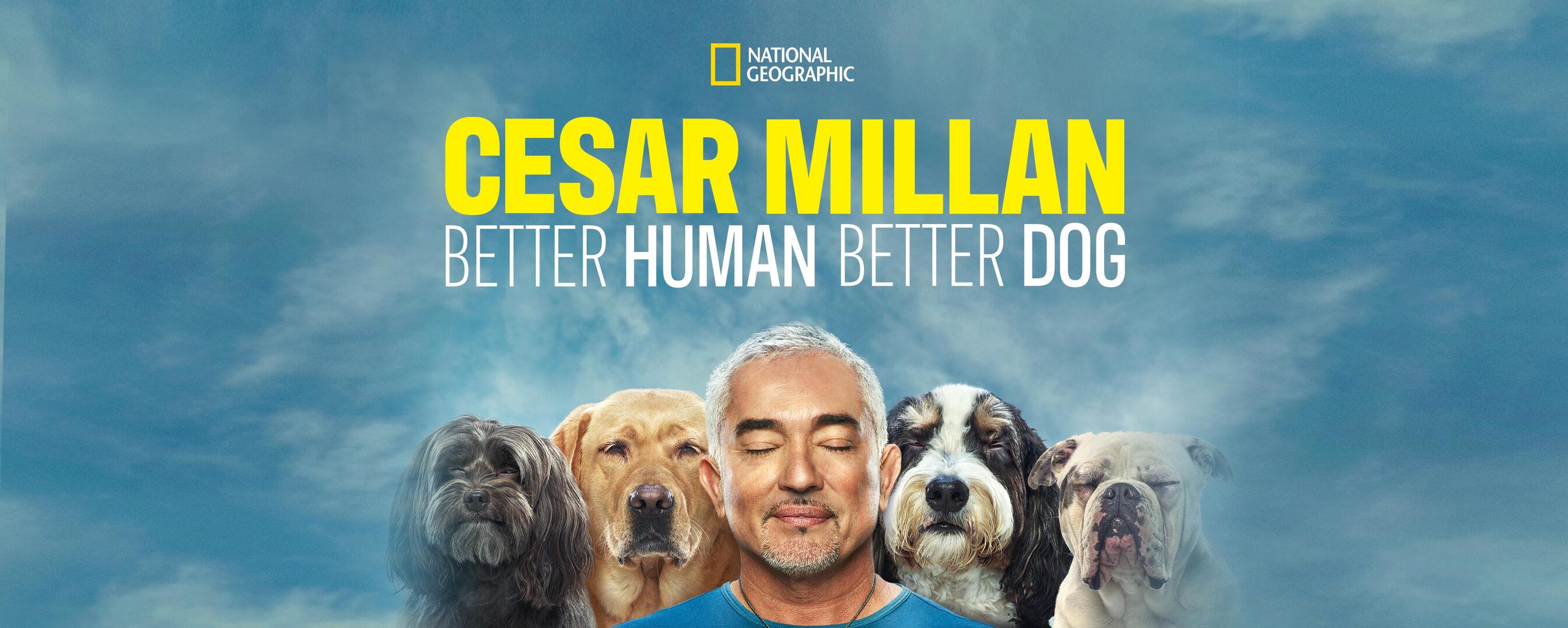 cesar millan's dog psychology center reviews - Ilustrasi 3